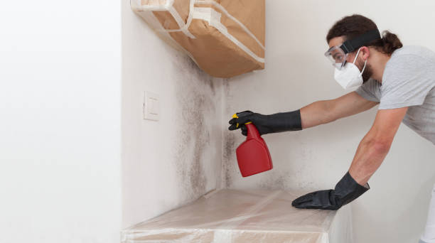 Professional Mold Remediation technician working in Apex, NC