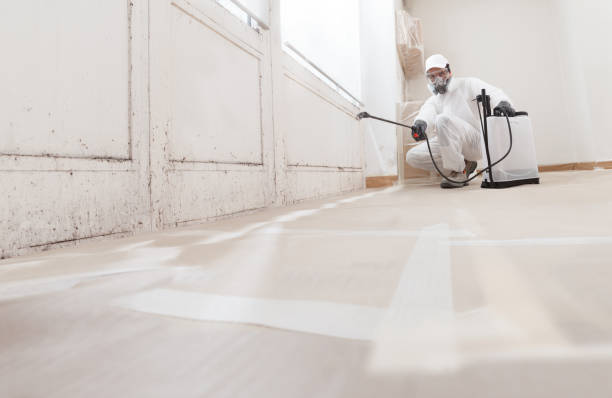 24/7 Emergency Mold Remediation experts in Apex, NC